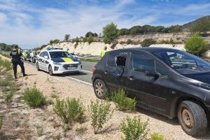 Indignación en Alcoy por el abandono de un perro en plena autovía