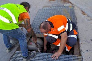 Torrent se adelanta a las lluvias