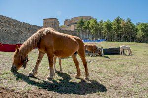 Empieza la edición 2024 de la Feria de Morella