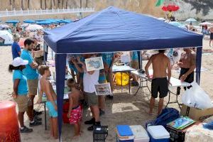 La jornada de limpieza de fondos marinos en Mal Pas constata el buen estado de las playas de Benidorm