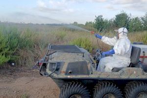 La Diputació de Castelló intensifica els treballs de vigilància i fumigació de mosquits després del pas de la DANA per la província