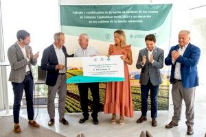 L’horta monetitza per primera vegada, gràcies a hortiGO2, la contribució a l’absorció de CO₂ amb un projecte d’impacte positiu local