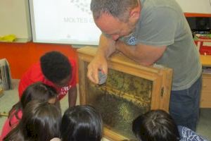 València lanza el programa “Las abejas van a la escuela” para concienciar sobre su importancia en los ecosistemas urbanos