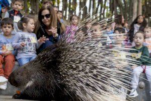 BIOPARC Valencia: una gran aula abierta para escolares con visitas guiadas desde 11€