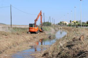 El Consell Agrari actúa en la acequia de Gabau y la desembocadura hasta la gola para mejorar el entorno y la evacuación de aguas