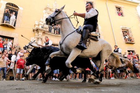 VÍDEO | Iván Barroso complix el seu somni en l'Entrada de Bous i Cavalls de Segorbe en una jornada marcada per la caiguda d'un caballista