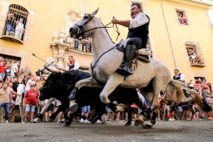 VÍDEO | Iván Barroso cumple su sueño en la Entrada de Toros y Caballos de Segorbe en una jornada marcada por la caída de un caballista