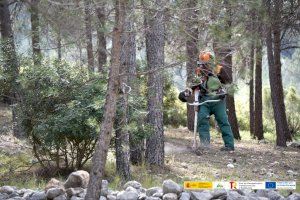 El proyecto ‘Valencia Biovaloriza’ comienza los trabajos de extracción de biomasa forestal para generar energía limpia