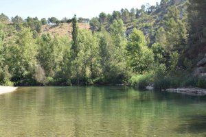 Cirat pide ayuda a la Generalitat para salvar el río Mijares de la invasión de cañas: "Genera riesgos"