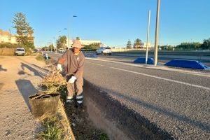 Benicarló contrata un peón agropecuario a través del Plan de Ocupación de la Diputación