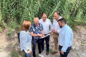 El alcalde de Toga traslada a Medio Ambiente la preocupante situación del río Mijares y pide la limpieza del cañar que invade el cauce