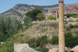 Ixen a exposició pública dos dels projectes inclosos en l'estratègia de renaturalització de la ciutat, AlcoiBioUp!