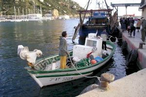 Un catedrático de la UA preside el ‘Foro científico para la pesca española en el Mediterráneo’