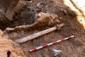 Villena inicia las excavaciones arqueológicas de la muralla medieval descubierta en las obras de reurbanización del centro histórico