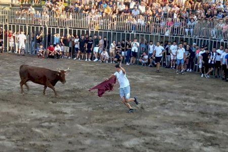 Almassora presenta su prestigioso cartel de 18 toros para las fiestas del Roser