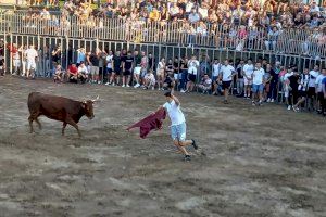 Almassora presenta el seu prestigiós cartell de 18 bous per a les festes del Roser