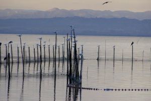 La Comisión de Urbanismo acuerda, por unanimidad, iniciar los trámites para que l’Albufera sea declarada Reserva de la Biosfera