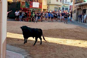 202 personas heridas y 2 fallecidos: el balance de los festejos taurinos en España entre junio y septiembre