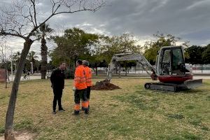 Catarroja planta mig centenar d'arbres nous i anuncia una plantació massiva al 2025