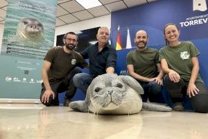 La sede de la UA y FauNatura organizan las jornadas "Desafíos y oportunidades de la conservación de la biodiversidad en ciudades costeras"