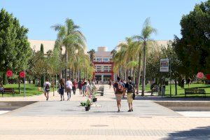 San Vicente aprobará una declaración institucional para mantener los estudios de Medicina en la UA consensuada por todas las formaciones