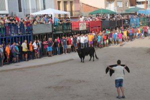 Almenara es prepara per a 10 dies de festa en honor a la Mare de Déu del Bon Succés i Sant Roc