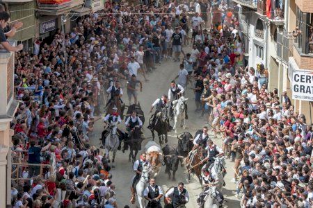 El XXXIX Concurso de Ganaderías “Ciudad de Segorbe” concluye con la semana taurina