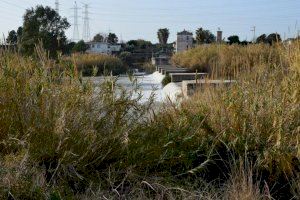 El río Millars de Vila-real renacerá libre de cañas gracias a un nuevo proyecto