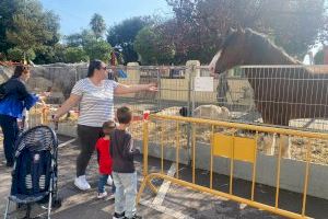 La Fira de Ramaderia i Maquinària Agrícola de Nules cierra las puertas de una edición marcada por la meteorología