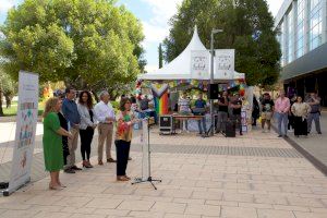 Amparo Navarro inaugura els actes de la Benvinguda UA