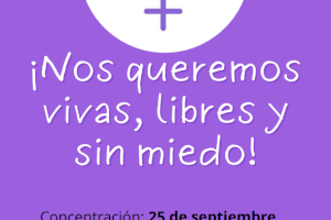 La Coordinadora Feminista de Elche condena los 35 asesinatos de mujeres de este año