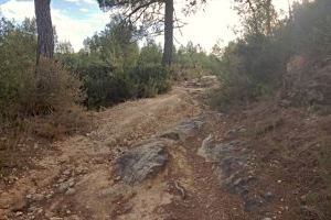 Ontinyent inicia el condicionament del sender d’accés a la finca forestal de Fuset amb ajuda de la Diputació de València