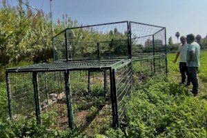 El Ayuntamiento de Peñíscola instala la primera de dos jaulas para el control de la fauna cinegética