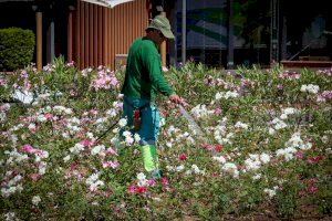 Nous Espais de Torrent convoca 7 puestos de personal laboral de jardineros y jardineras