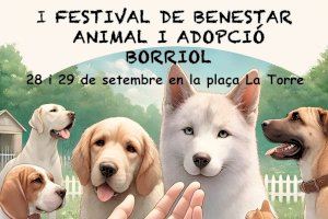 Borriol acollirà el I Festival de Benestar Animal i Adopció este cap de setmana