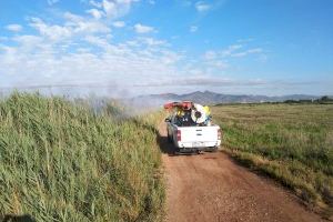 Aviso al vecindario de Nules por tratamientos aéreos por la plaga de mosquitos: zonas y horarios de intervención