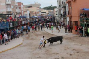 Almenara retoma los festejos taurinos con la exhibición de dos toros cerriles de partido de resina