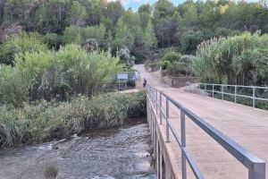 Torrechiva garantiza la eliminación de los cañares de cuatro sectores del río Mijares gracias al fondo aprobado por el Consell