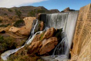 Contigo Elche propone crear un aula de la naturaleza en el Pantano