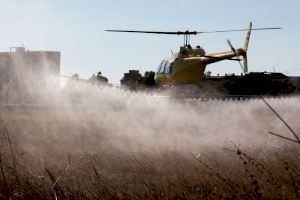 La Diputación saca la caballería contra los mosquitos en las zonas más húmedas de Castellón