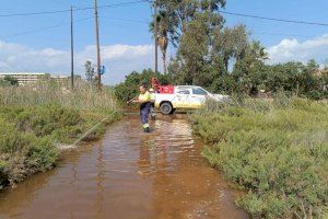 Torreblanca activa una forta campanya contra els mosquits per les pluges dels últims dies