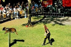 Más de 50 entidades se dan cita este sábado en la Feria de los Animales de València