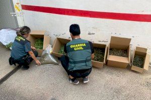 Golpe al narcotráfico en dos localidades de Castellón: desmantelan tres puntos de venta de droga