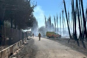 VÍDEO | Un pirómano provoca el incendio de Sueca que acabó con el desalojo de una vivienda y una persona herida