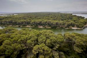 València comienza a redactar la candidatura para la declaración de l’Albufera como Reserva de la Biosfera de la Unesco