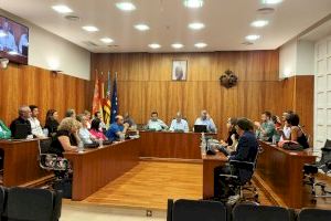 El Pleno aprueba la unión de los ayuntamientos de Orihuela y Elche para preservar sus palmerales