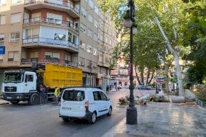 Se desploma un árbol en la Glorieta Gabriel Miró de Orihuela