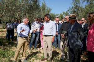 Mazón lleva a Bruselas las reivindicaciones del sector agrario valenciano: “Es una prioridad para el gobierno del cambio”