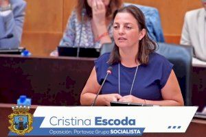 El PSOE denuncia que “el alcalde no gestiona y que ha perdido el control del Ayuntamiento de Benidorm”