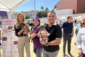 Gran éxito de la II Feria de Adopción Animal